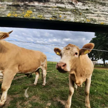 Gæstehus Mueritzblick Gotthun
