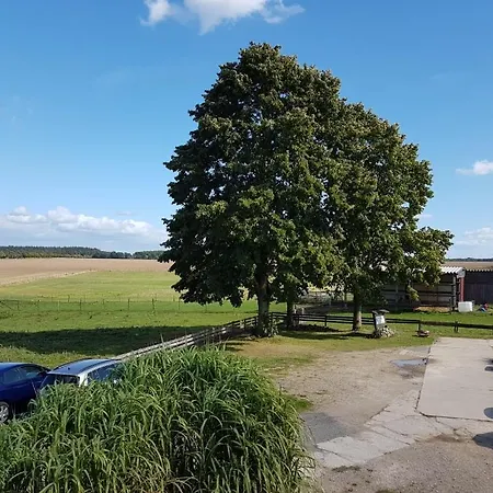 Mueritzblick 3*