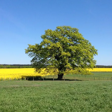 Mueritzblick Maison d'hôtes Gotthun