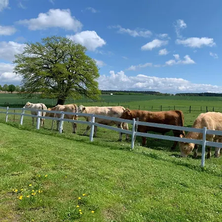 Mueritzblick Maison d'hôtes Gotthun