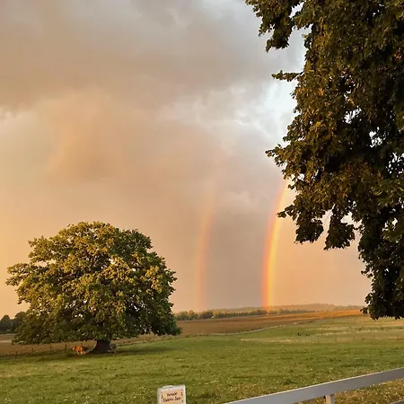 Mueritzblick Gotthun