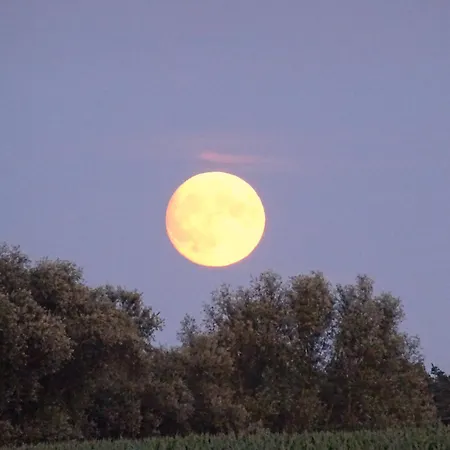 Mueritzblick Maison d'hôtes