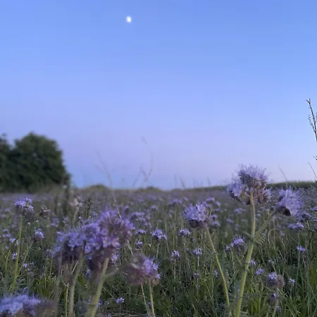 Mueritzblick