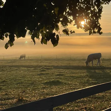 Mueritzblick Maison d'hôtes 3*