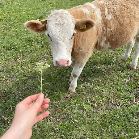 Mueritzblick Gotthun