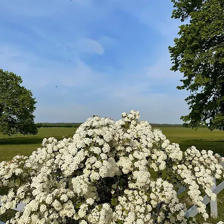 Maison d'hôtes Mueritzblick Gotthun