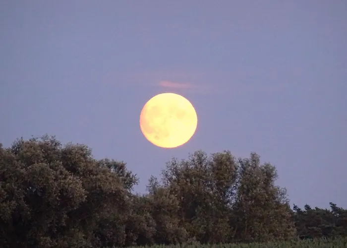 Mueritzblick Maison d'hôtes